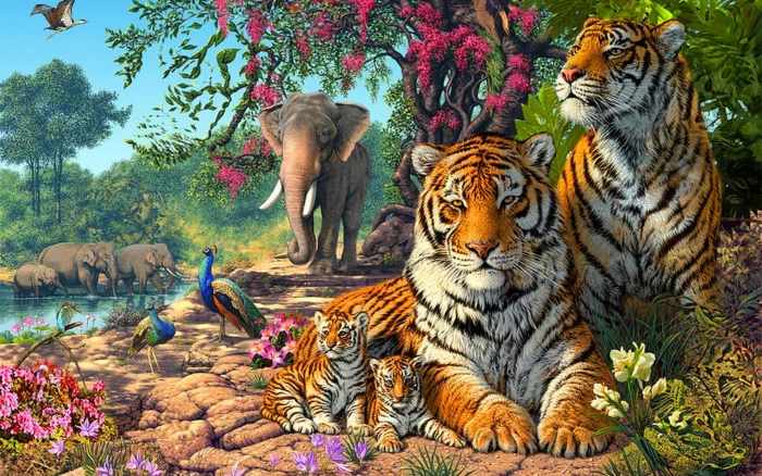 Tigers Family Exotic Birds Paun Elephants Jungle Nature Hd Wallpaper For Animal Lovers 2k