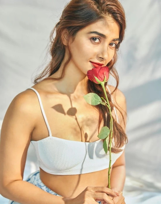 Pooja Hegde pooja hedge indian celebrity actress