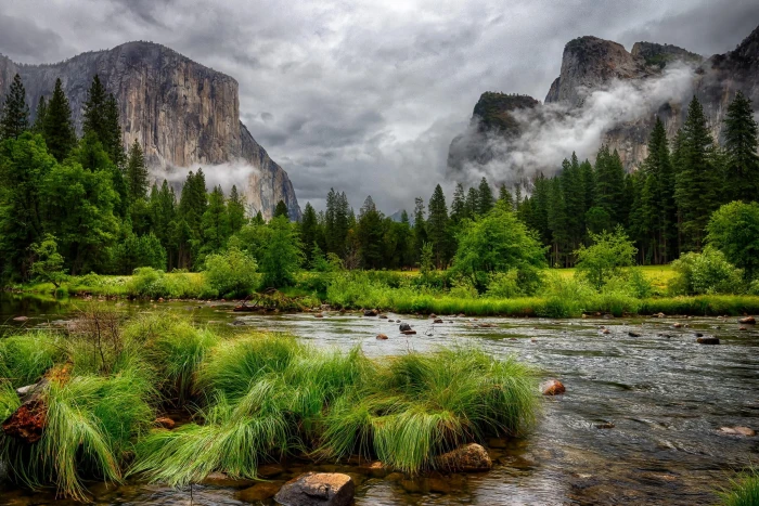 green trees and river wallpaper nature landscape mountains 2k