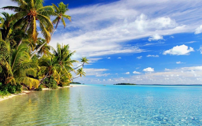 Beautiful Beach With Sand Green Palm Trees Clear Sea Water Wallpaper Hd 2k
