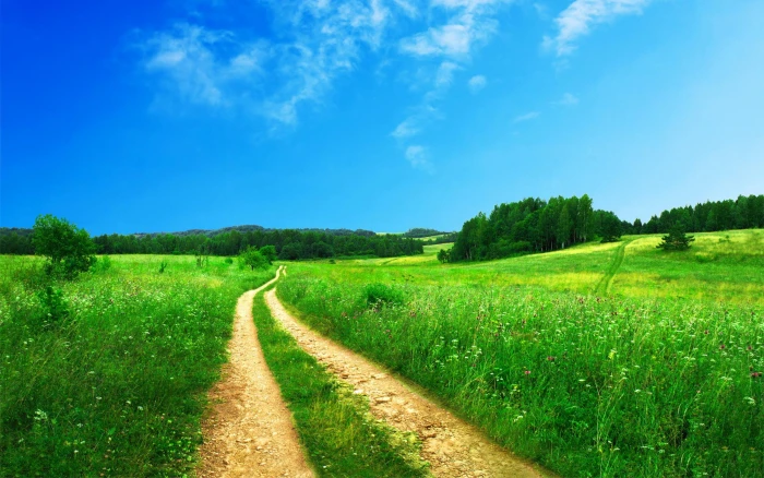 Beautiful Scenery HD Background landscapes 2k