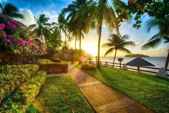 green grass beach sunset palm trees sea flowers coast path 2k