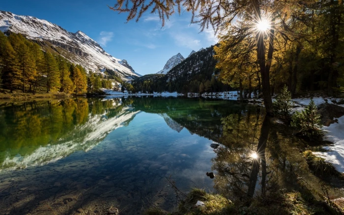 green tree and body of water nature landscape lake Alps mountains 2k