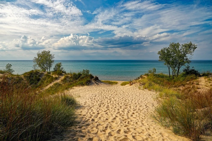 green trees near body of water indiana dunes state park beach 2k