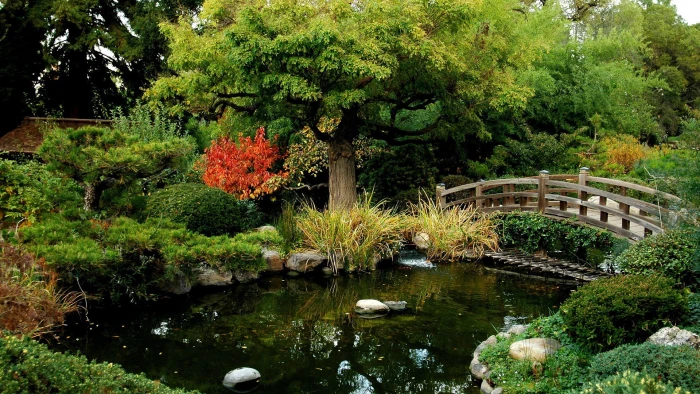 nature forest landscape tree water park river trees 2k