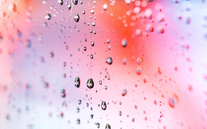 rain macro Droplets HD wallappers abstract 2k 4k