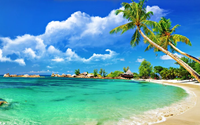 Tropical Palm beach nature 2k