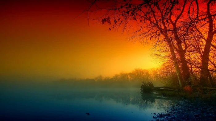 twilight darkness misty lake tree landscape scenery amazing 2k 4k