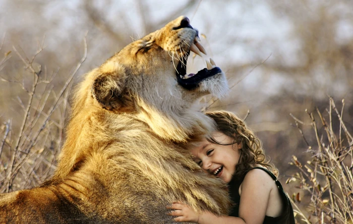 girl embracing lion roar africa animal wildcat fur carnivores 2k