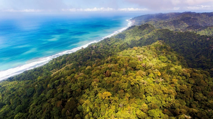 aerial photography of green island nature landscape view 2k