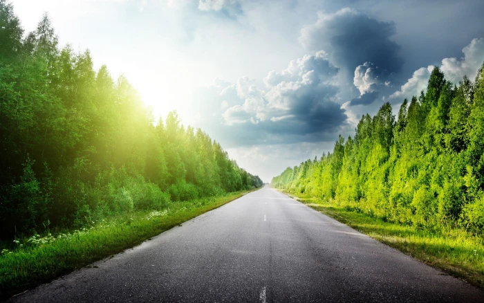 Aesthetic journey Scenery HD desktop wallpaper gray road between green leaf trees 2k