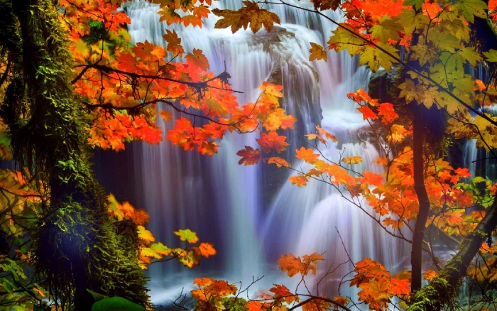 autumn beautiful colors creative dreams fall falls four 2k