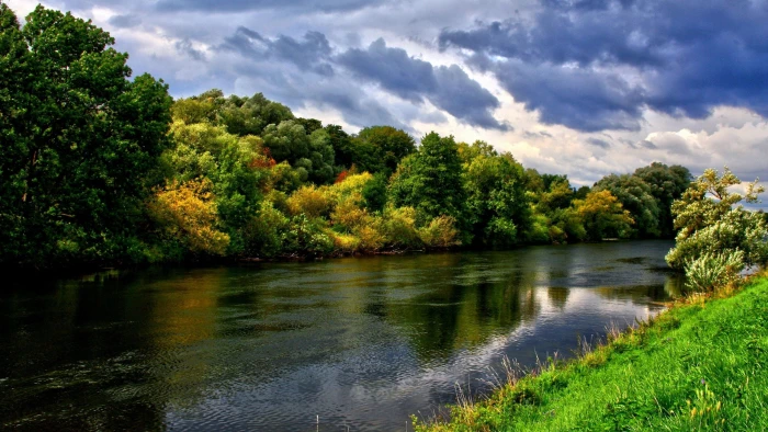 body of water and green leafed trees river forest nature landscape 2k