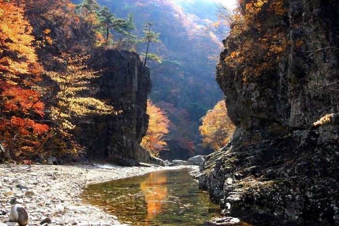 body of water beside mountain nature autumn leaves landscape 2k