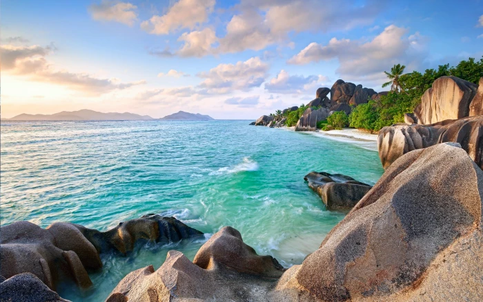brown rocks and green coconut tree island summer sky sand 2k