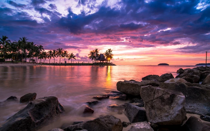 coconut trees nature landscape sunset tropical beach clouds 2k