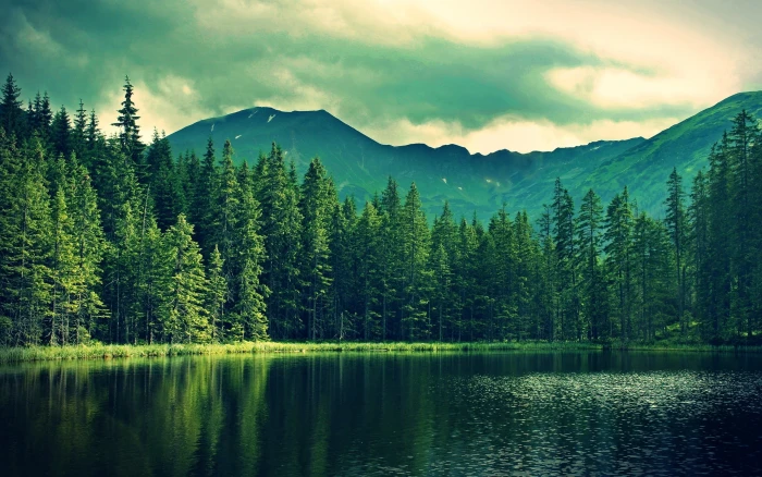 green leafed trees and body of water nature landscape hills 2k