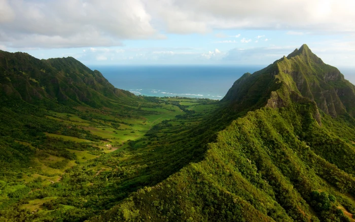 Green natural scenery trees forest grass mountains sea sky clouds mountain and ocean view during daytime photo 2k