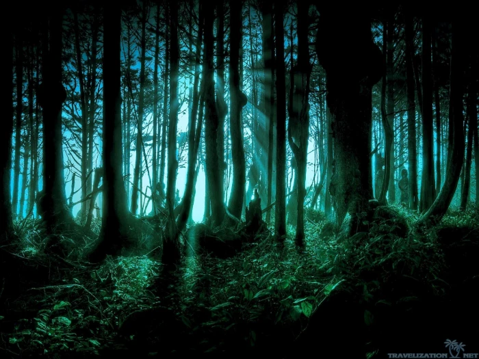Halloween scary Pacific forests dark nature 2k