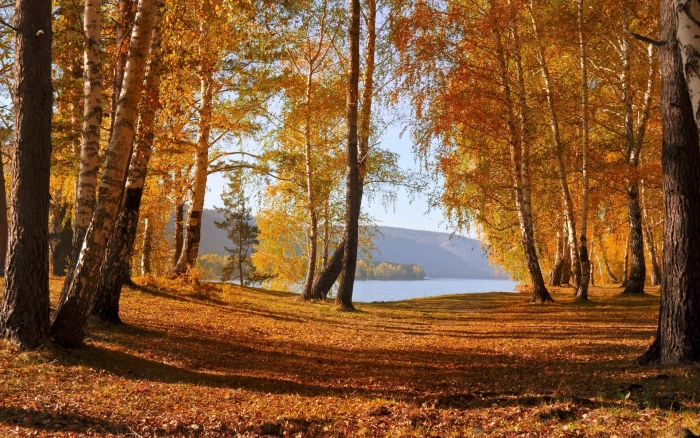 Nature autumn scenery yellow leaves trees lake mountains near body of water photo 2k