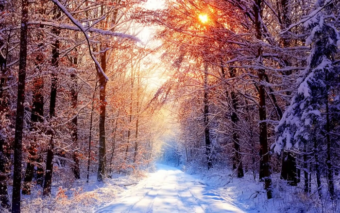 nature Winter background photography images 2k