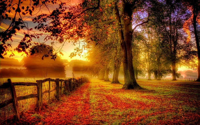 Park autumn scenery red leaves road fence 2k