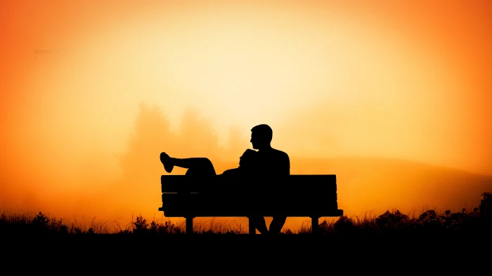 silhouette of man and woman sitting on bench sunset dawn backlit 2k 4k 5k