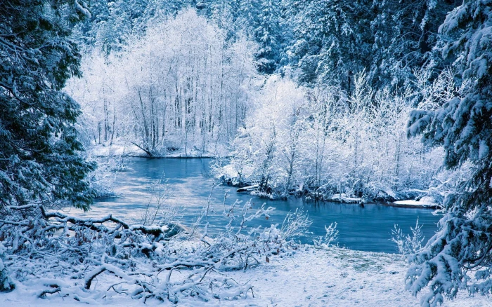 Winter nature scenery white snow trees river 2k
