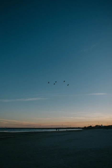 aesthetics grunge vintage retro birds landscape beach 2k 4k