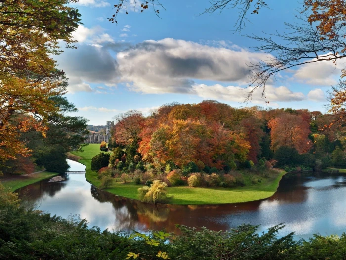 Beautiful autumn scenery river trees houses 2k