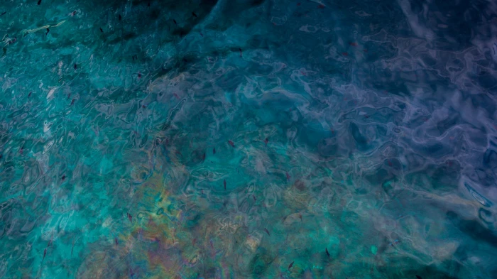 blue abstract painitng topview ocean sea water fish nature 2k 4k