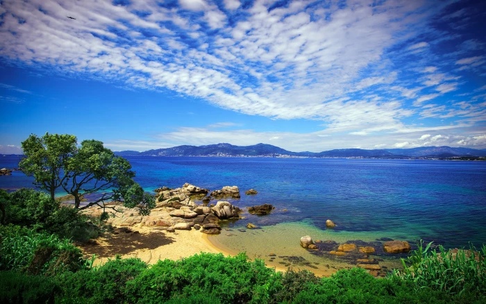 body of water beach sky grass sea beautiful scenery nature 2k