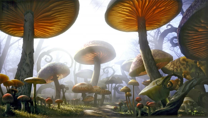 brown mushroom digital wallpaper fantasy art plants 2k 4k