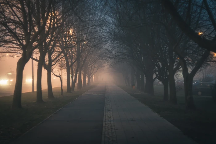 concrete road and trees evening mist landscape nature lights 2k 4k