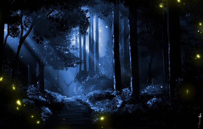 digital art artwork forest nature lights night 2k 4k