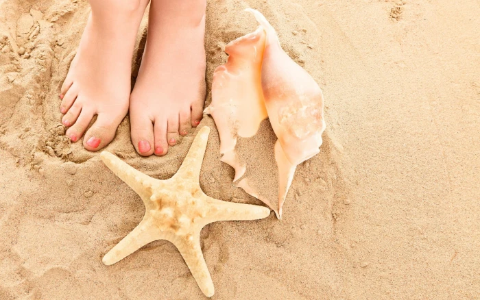 Feet Shells Starfish Beach Sand HD nature 2k