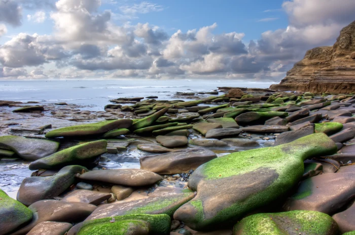 green and brown rocks on the sea shore during morning beach 2k 4k