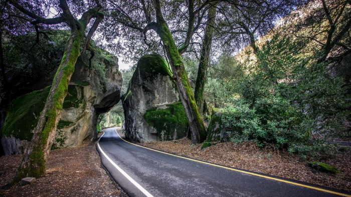 grey concrete empty road yosemite valley california 2k