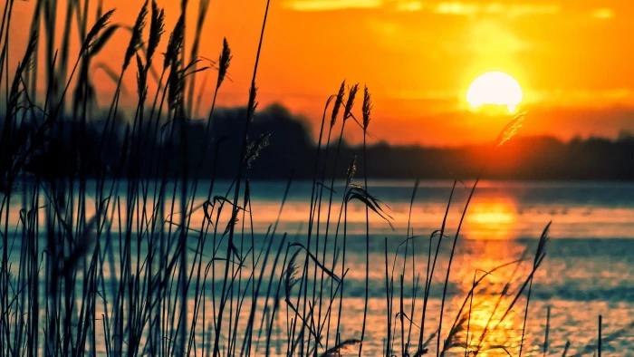 nature background for pc 2k 4k