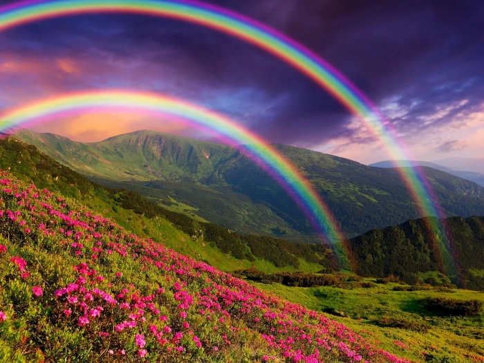 Nature landscape mountains flowers rainbow 2k