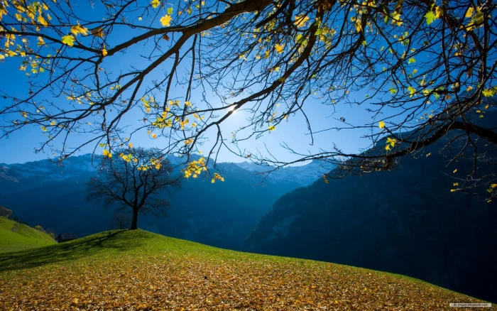 Nature Scenery Beautiful Mountain Wallpaper 2k