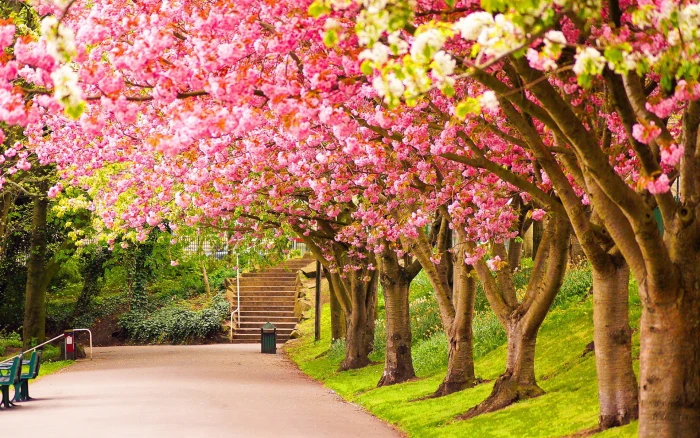 nature Spring Lovely colours of england 2k