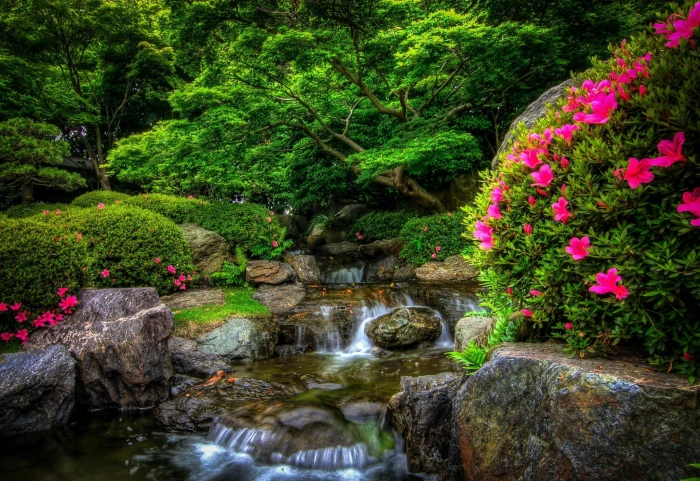 Park river flowers scenery of waterfalls painting forest 2k