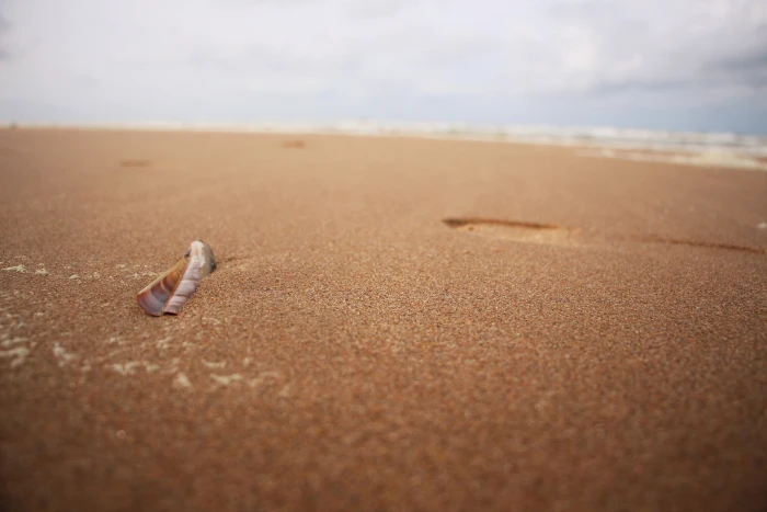 beach Dutch North Sea sand land water day nature selective focus 2k 4k 5k
