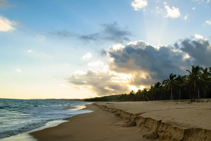 brazil praia do gunga sol y playa palmeras viajes wallpaper 2k 4k 5k