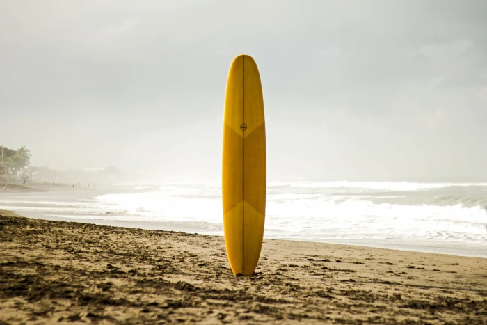brown surfboard standing on sea shore morning surf board misty 2k 4k 5k
