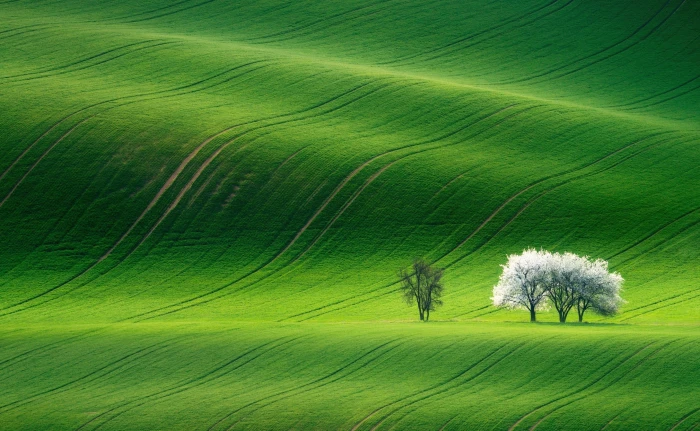 Green Hills Nature Scenery Landscape Beautiful Spring Trees 2k