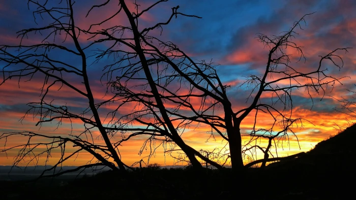 nature sun sunset sky sunrise silhouette atmosphere landscape 2k 4k