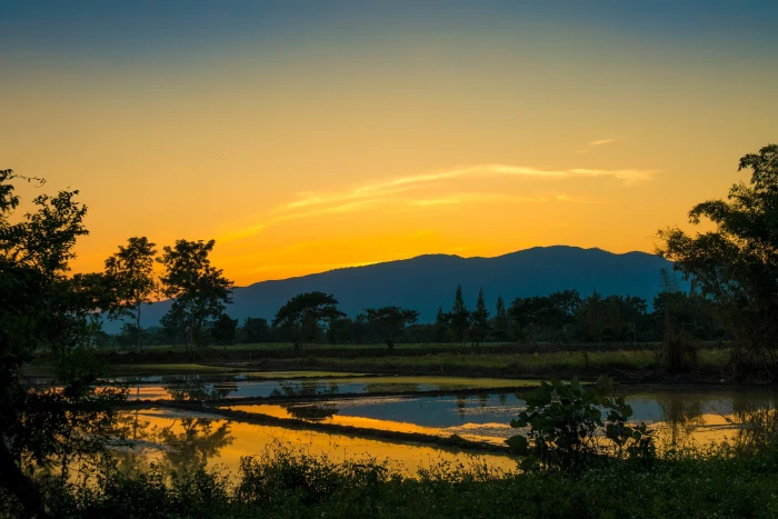 photograph of body water near trees during golden hour sunset 2k 4k