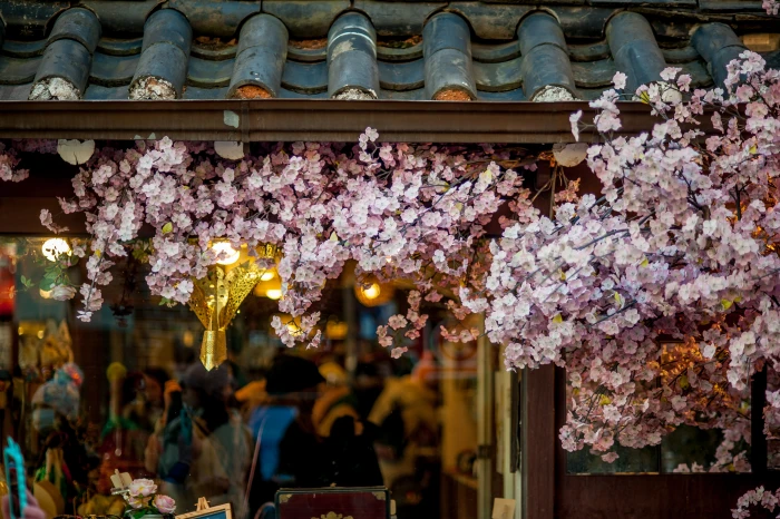 pink petaled flowers on roof shingles blossom tree beside black tiled closeup photo 2k 4k